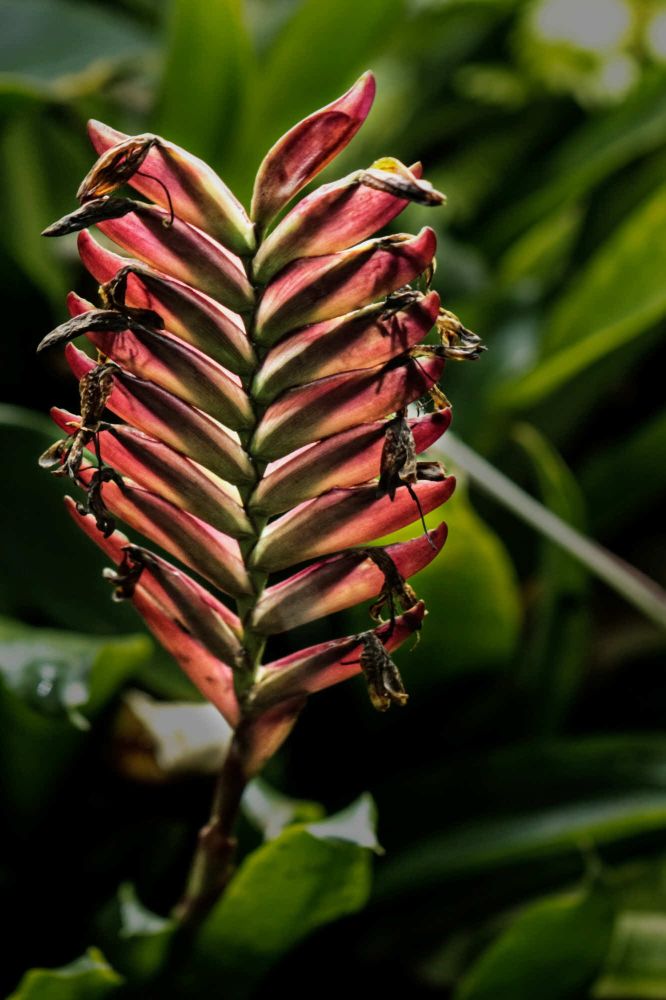 15 Rang 126 Keller Georg